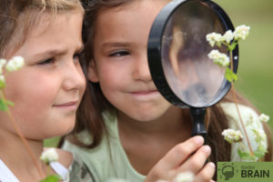 How Meta-Cognitive Skills Create Better Learners and Stronger Students